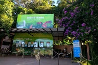 Transporte parque das aves Foz do Iguaçu